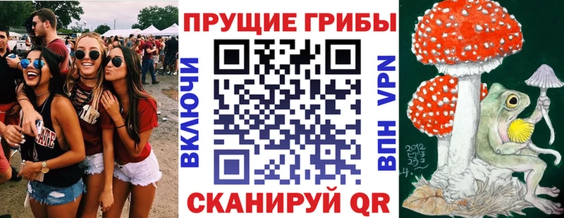 Галлюциногенные грибы Magic Shrooms Черноголовка